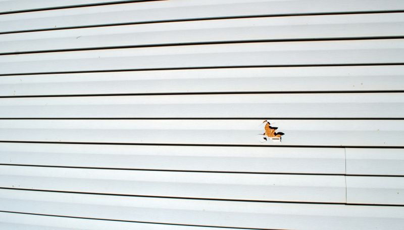 Vinyl Siding Repair - Panel Removal